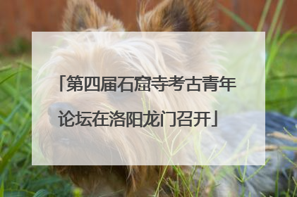 第四届石窟寺考古青年论坛在洛阳龙门召开